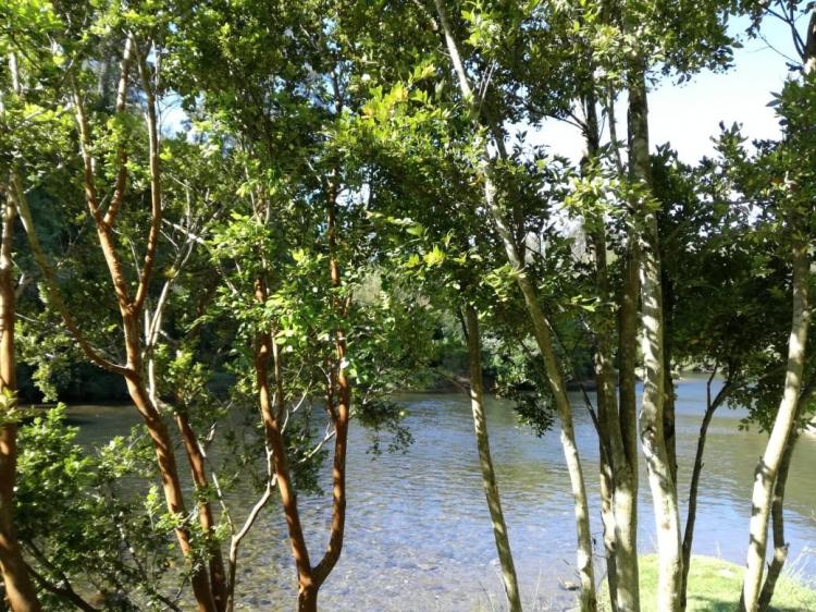 Fotografía 12 de Camping Valle Rukapiwel en San Juan De La Costa, Los Lagos