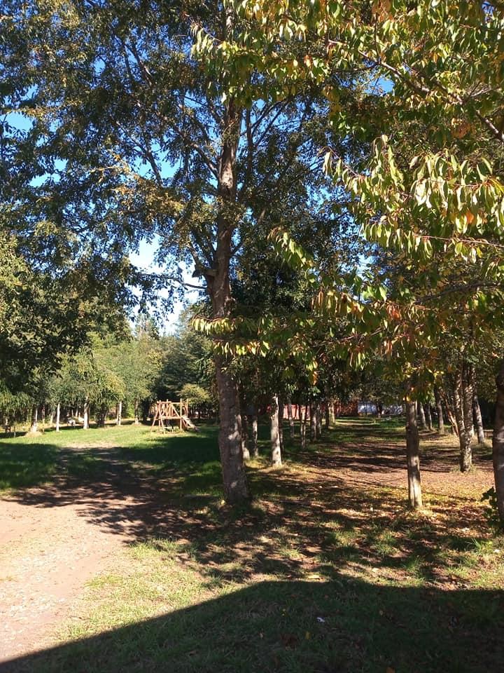 Fotografía 2 de Camping El Roí en Panguipulli, Los Rios