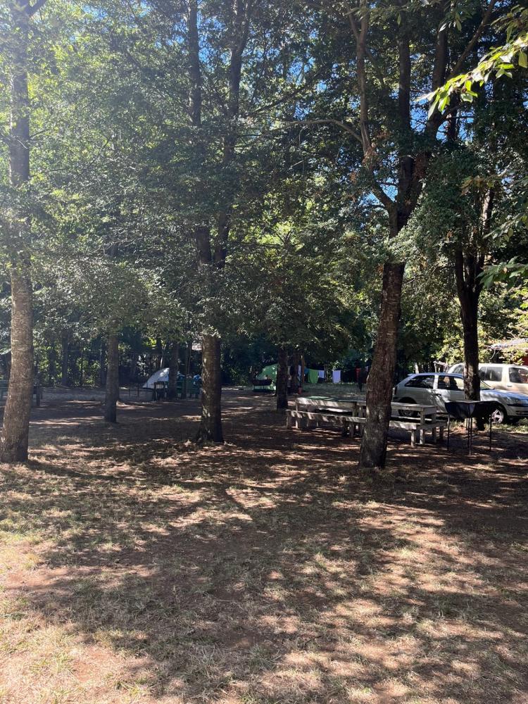 Fotografía 13 de Camping El Roí en Panguipulli, Los Rios
