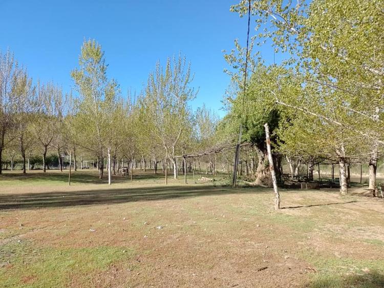 Fotografía 5 de Camping Millaray en Nacimiento, Bio Bio