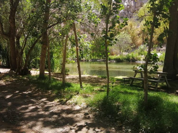 Fotografía 11 de Camping Remanso de Los Ponce en Paihuano, Coquimbo