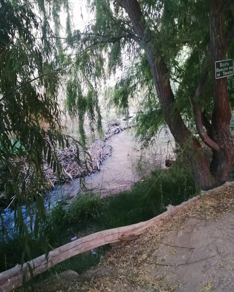 Fotografía 14 de Camping Remanso de Los Ponce en Paihuano, Coquimbo