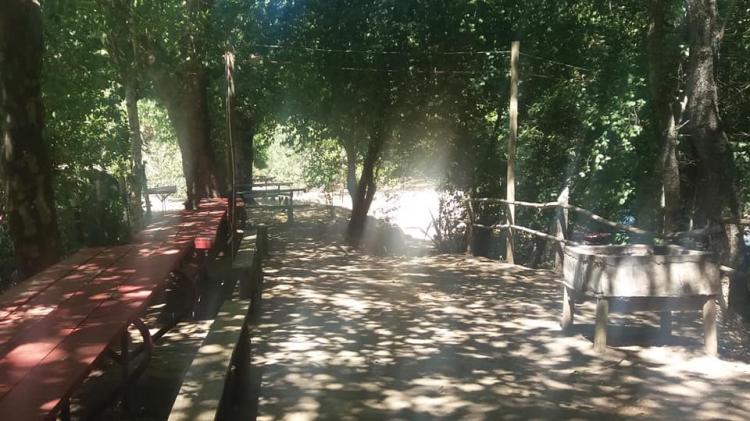 Fotografía 12 de Camping Santa Irene en Yumbel, Bio Bio