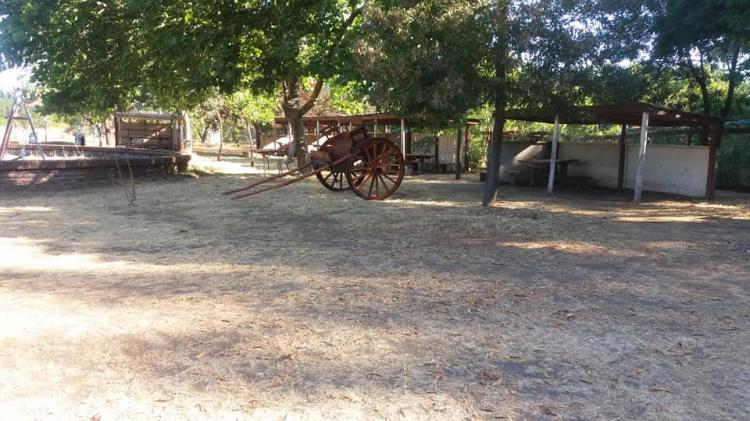 Fotografía 4 de Camping Santa Irene en Yumbel, Bio Bio