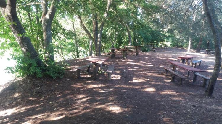 Fotografía 6 de Camping Santa Irene en Yumbel, Bio Bio