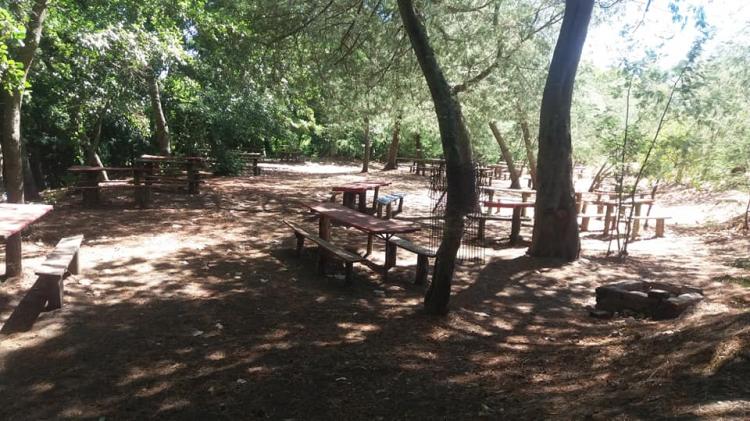 Fotografía 10 de Camping Santa Irene en Yumbel, Bio Bio