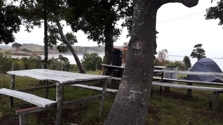 Fotografía 2 de Camping pichicuyen Quenuir bajo en Maullin, Los Lagos