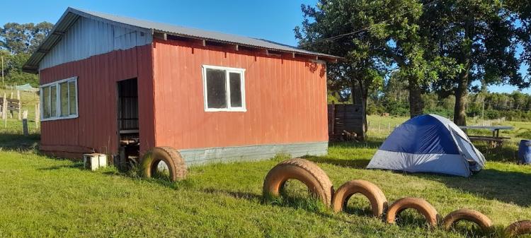 Fotografía 6 de Camping pichicuyen Quenuir bajo en Maullin, Los Lagos