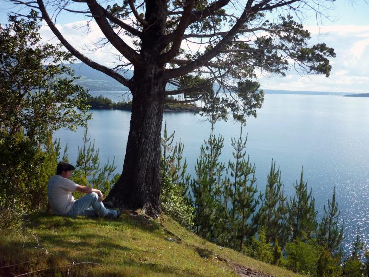 Fotografía 4 de Camping El Paraíso de Las Vabernas en Lago Ranco, Los Rios