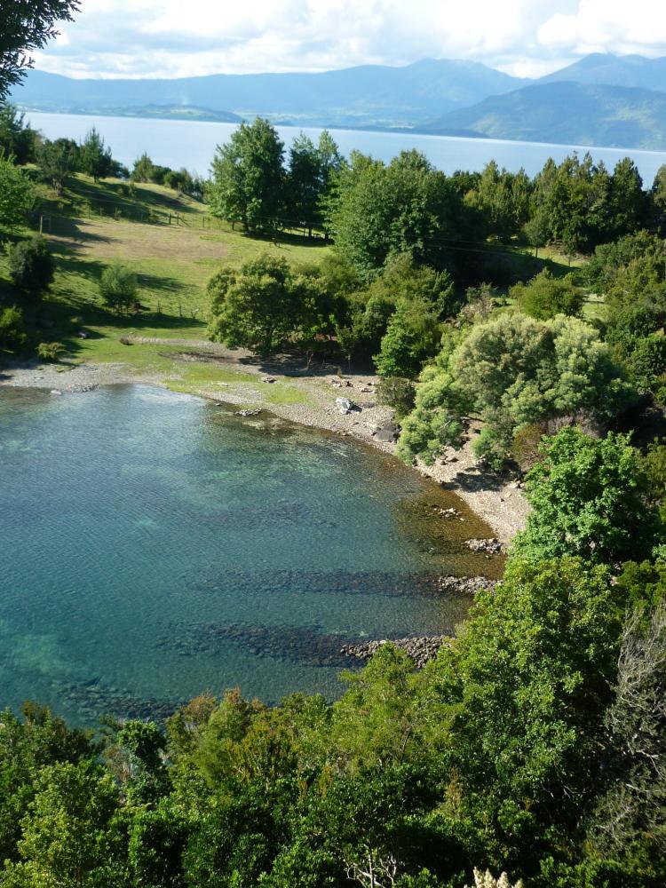 Camping El Paraíso de Las Vabernas en Lago Ranco, Los Rios
