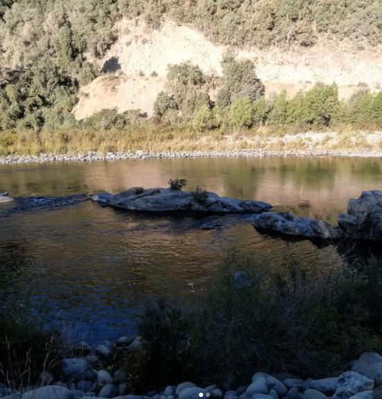 Fotografía 5 de Camping Picunche en Linares, Maule