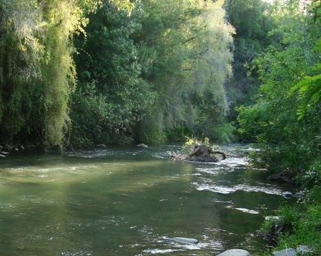Fotografía 3 de Camping La Cascada en Lonquimay, Araucania