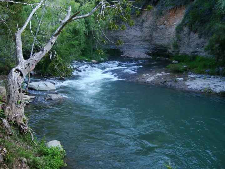 Fotografía 5 de Camping La Cascada en Lonquimay, Araucania