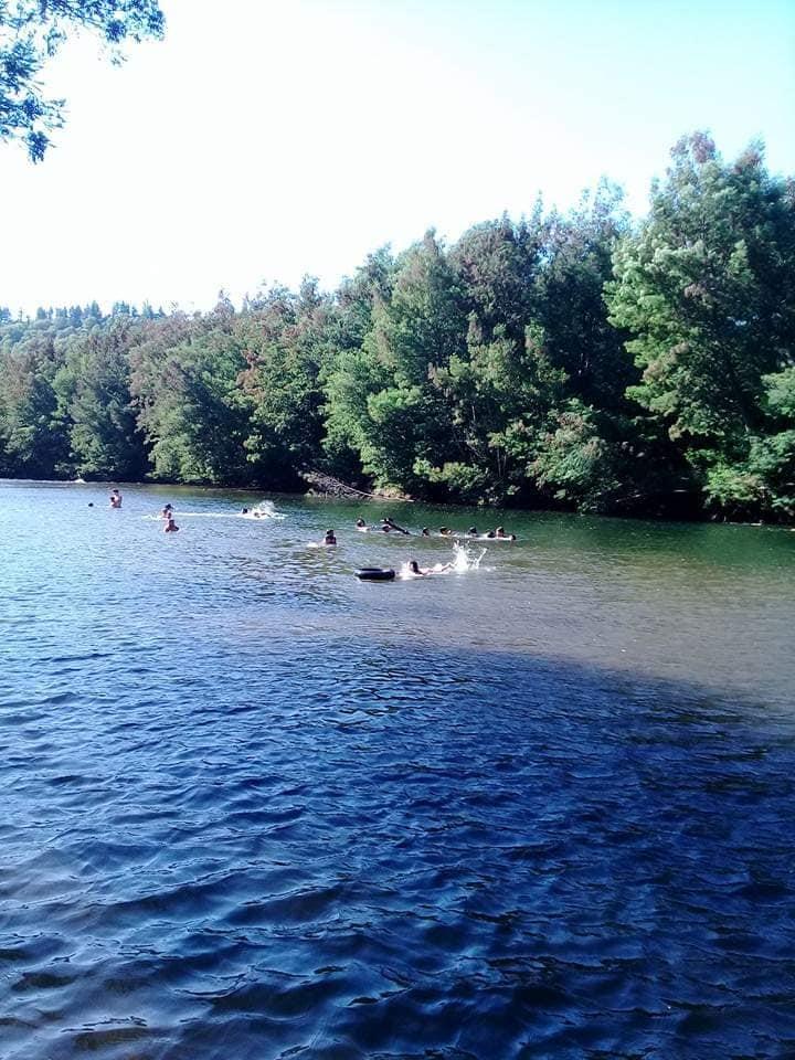 Fotografía 9 de Camping La Doña en Mulchen, Bio Bio