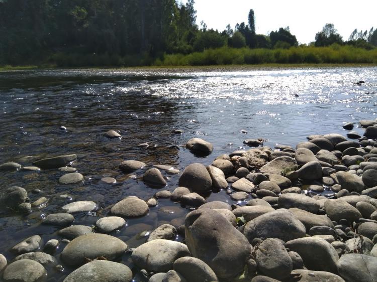Fotografía 16 de Camping Los Boldos en Padre De Las Casas, Araucania