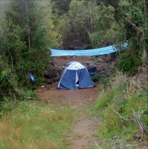 Fotografía 3 de Camping VICTORIA en Panguipulli, Los Rios