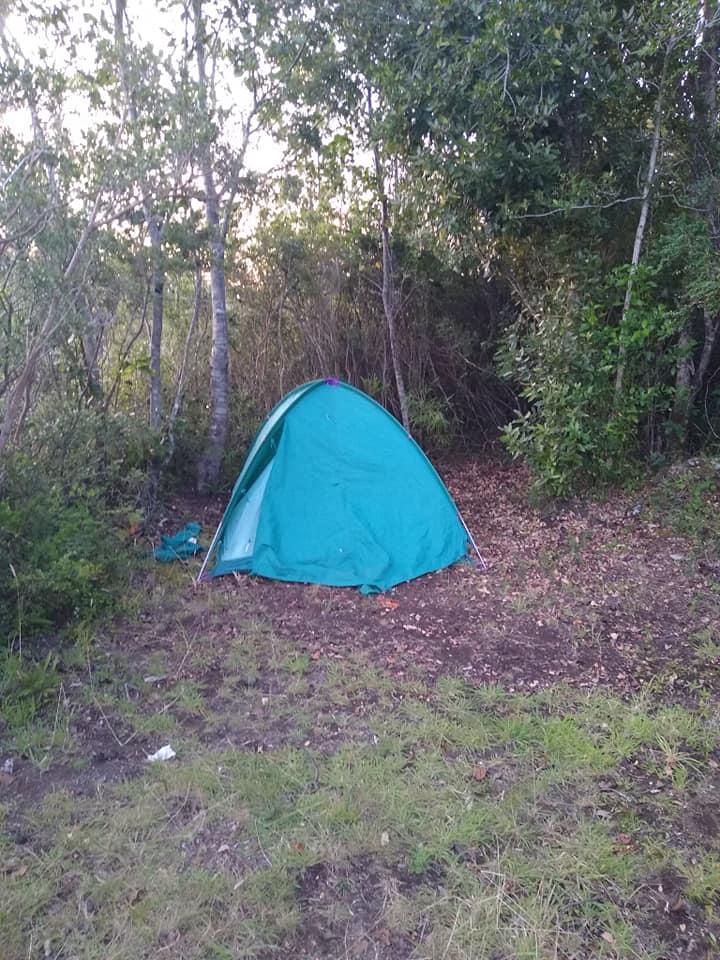 Fotografía 5 de Camping VICTORIA en Panguipulli, Los Rios