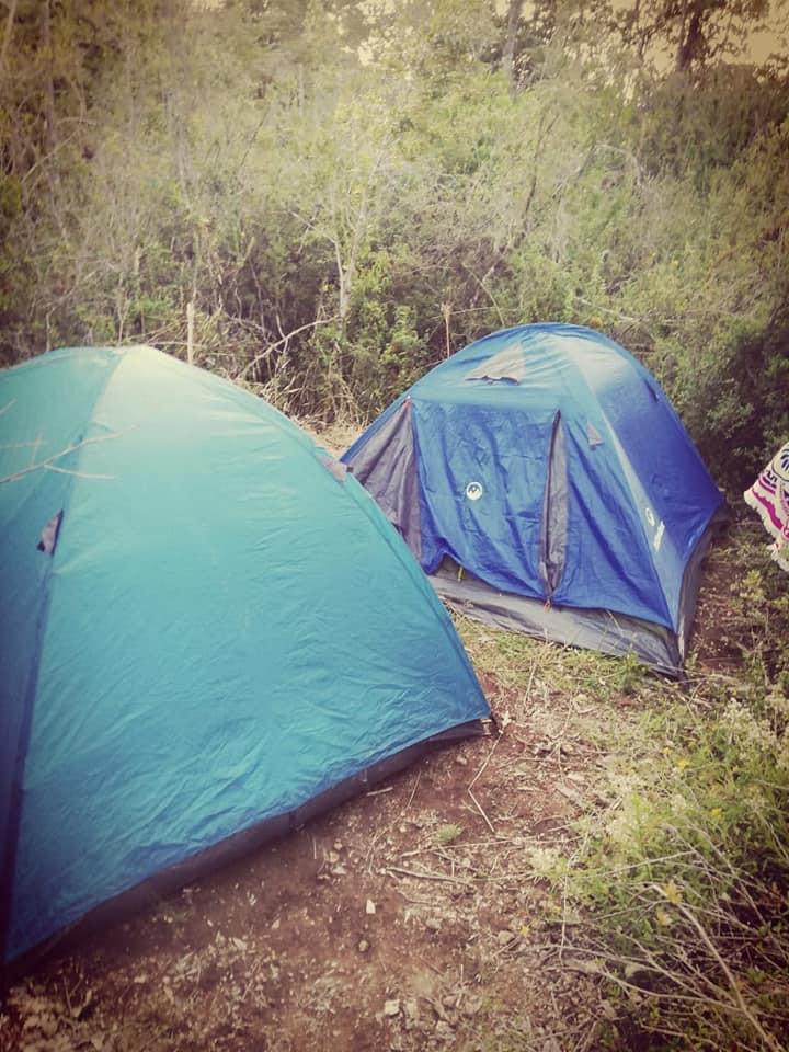 Fotografía 7 de Camping VICTORIA en Panguipulli, Los Rios