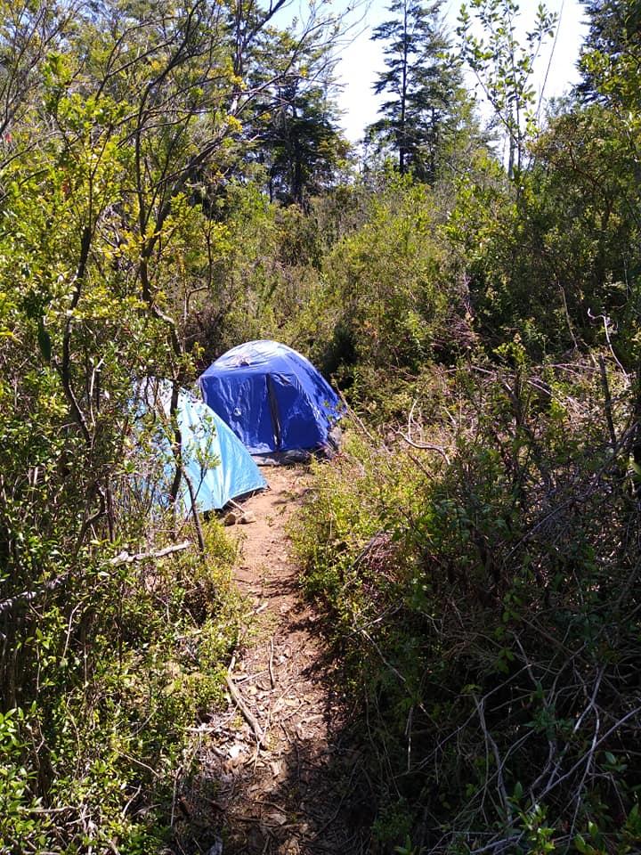 Fotografía 8 de Camping VICTORIA en Panguipulli, Los Rios