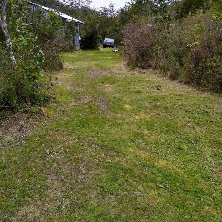 Fotografía 13 de Camping VICTORIA en Panguipulli, Los Rios