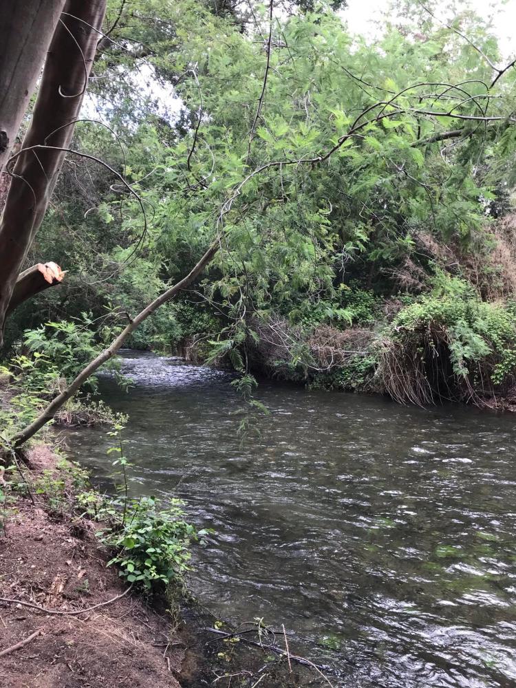 Camping Trapiche San Manuel en Parral, Maule