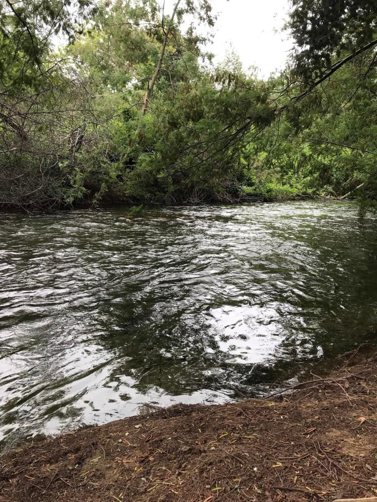Fotografía 7 de Camping Trapiche San Manuel en Parral, Maule