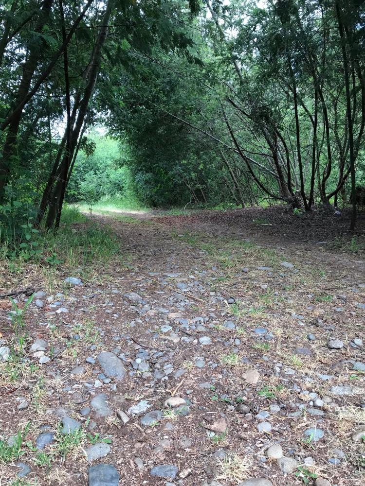 Fotografía 10 de Camping Trapiche San Manuel en Parral, Maule