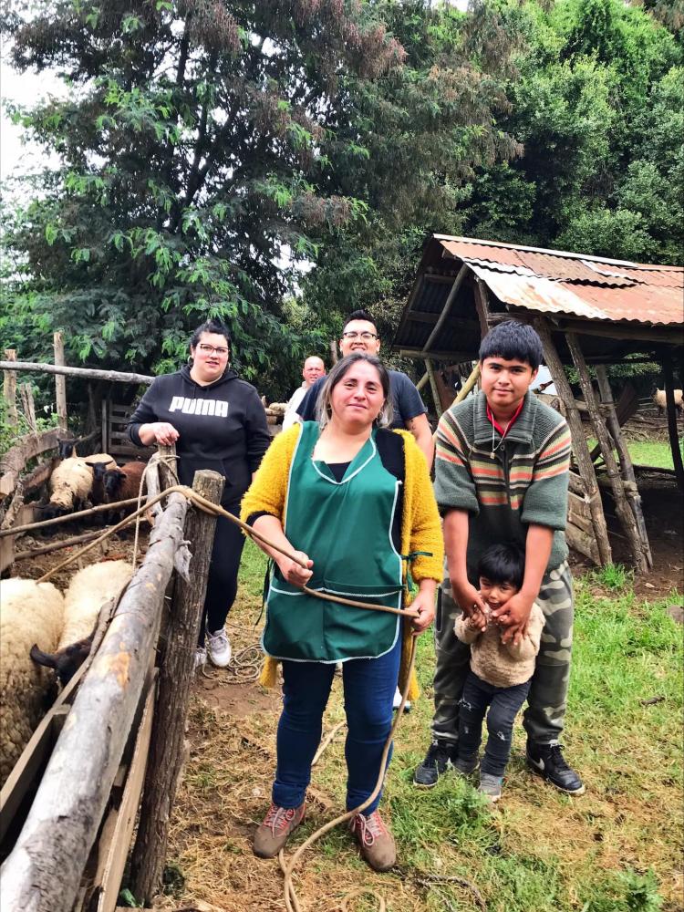Fotografía 18 de Camping Trapiche San Manuel en Parral, Maule