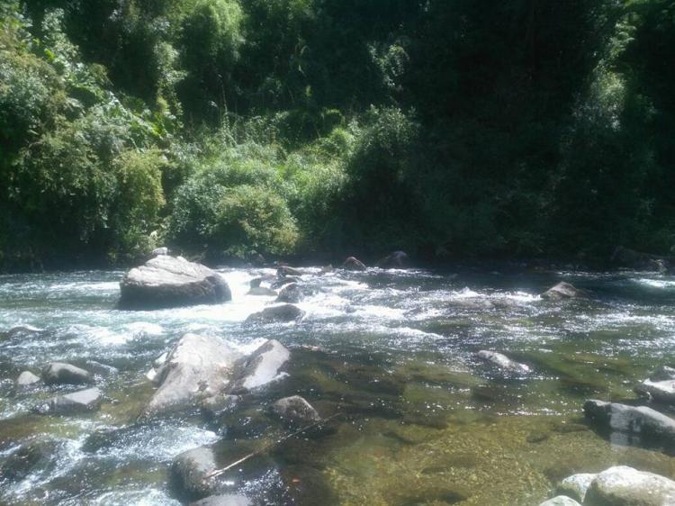 Fotografía 3 de Camping Katemu en Pucon, Araucania