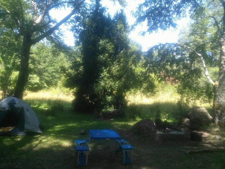 Fotografía 5 de Camping Katemu en Pucon, Araucania