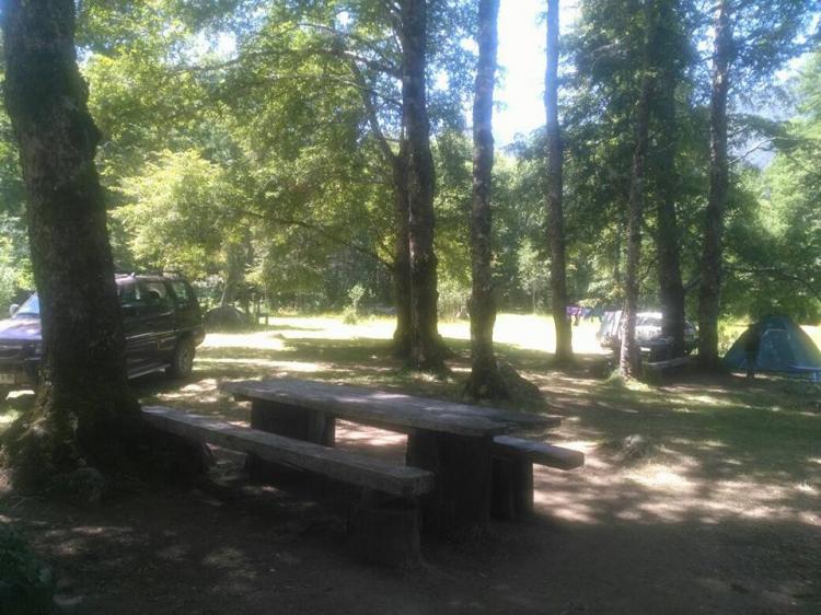 Fotografía 11 de Camping Katemu en Pucon, Araucania