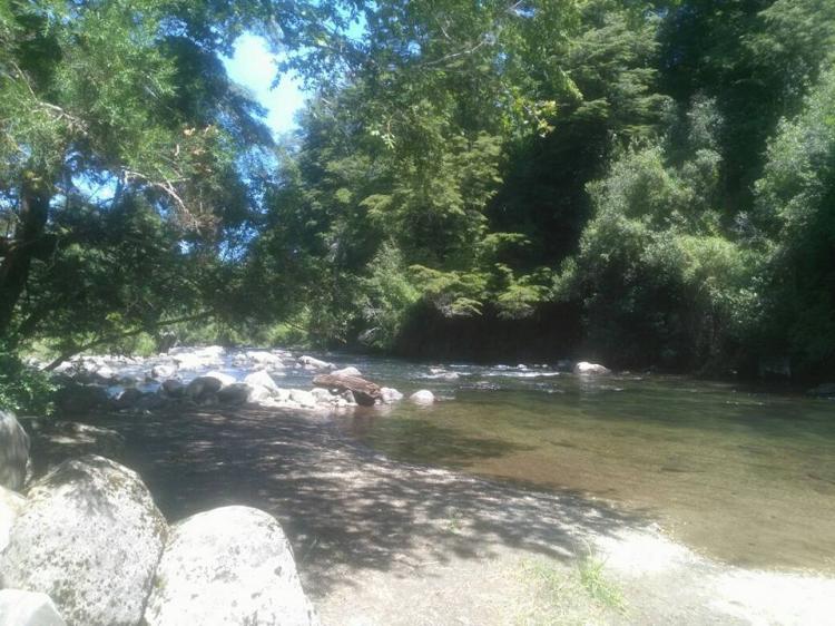 Fotografía 12 de Camping Katemu en Pucon, Araucania