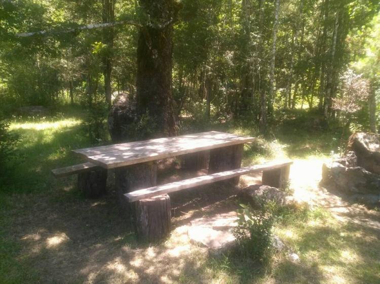 Fotografía 14 de Camping Katemu en Pucon, Araucania