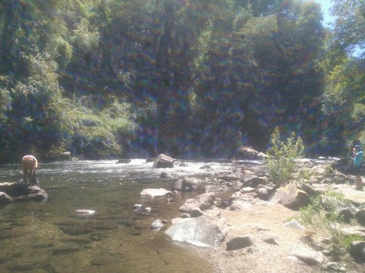 Fotografía 20 de Camping Katemu en Pucon, Araucania