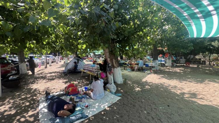 Fotografía 14 de Camping Puente Palo Nacimiento en Nacimiento, Bio Bio