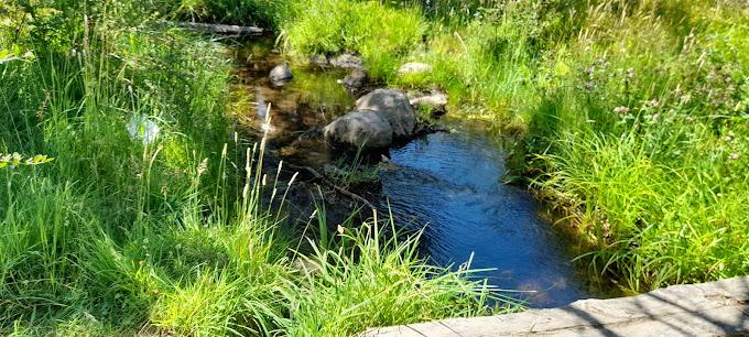 Camping El Rincón en Coyhaique, Aysen