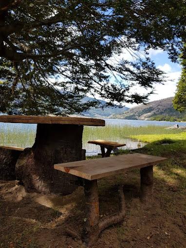 Fotografía 8 de Camping lago tranquilo en Aysen, Aysen