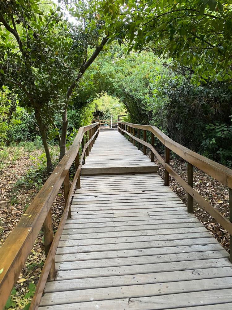 Fotografía 4 de Complejo Turístico Entre Lomas en Molina, Maule