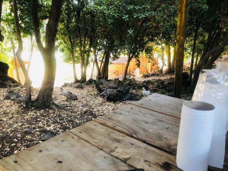 Fotografía 13 de Complejo Turístico Entre Lomas en Molina, Maule