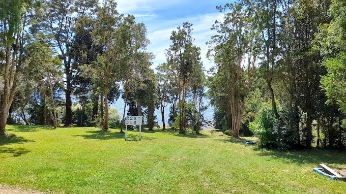 Fotografía 2 de Camping El Manzano en Puyehue, Los Lagos