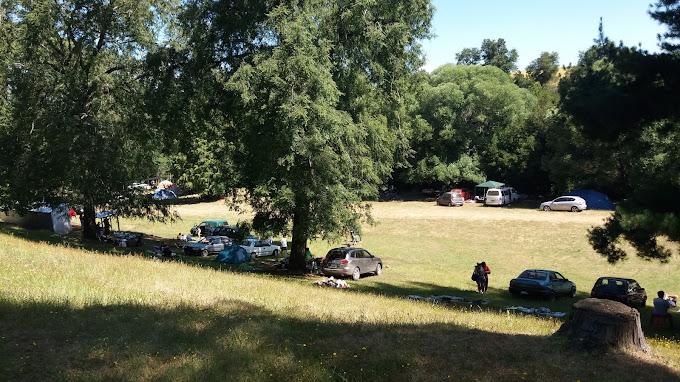 Camping LOS MAÑIOS en Victoria, Araucania