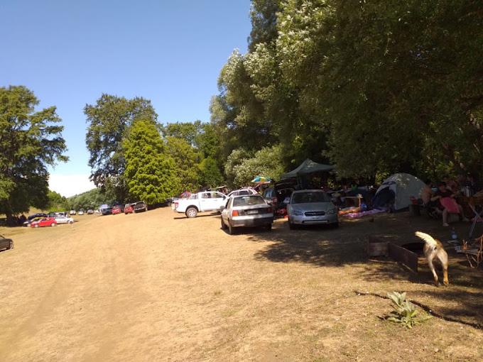 Fotografía 2 de Camping LOS MAÑIOS en Victoria, Araucania