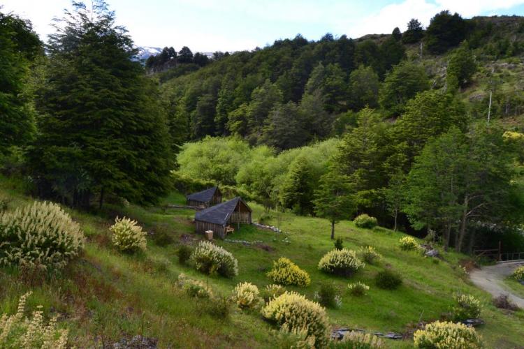 Fotografía 13 de Refugio Choiols en Rio Ibañez, Aysen