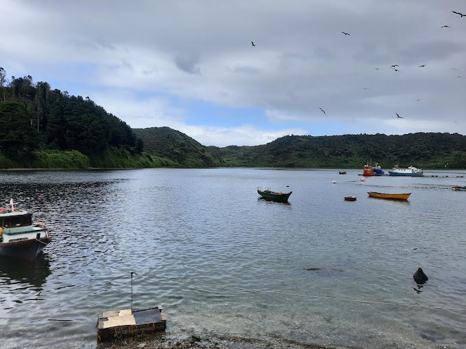 Fotografía 9 de Camping Paredes en Puerto Montt, Los Lagos