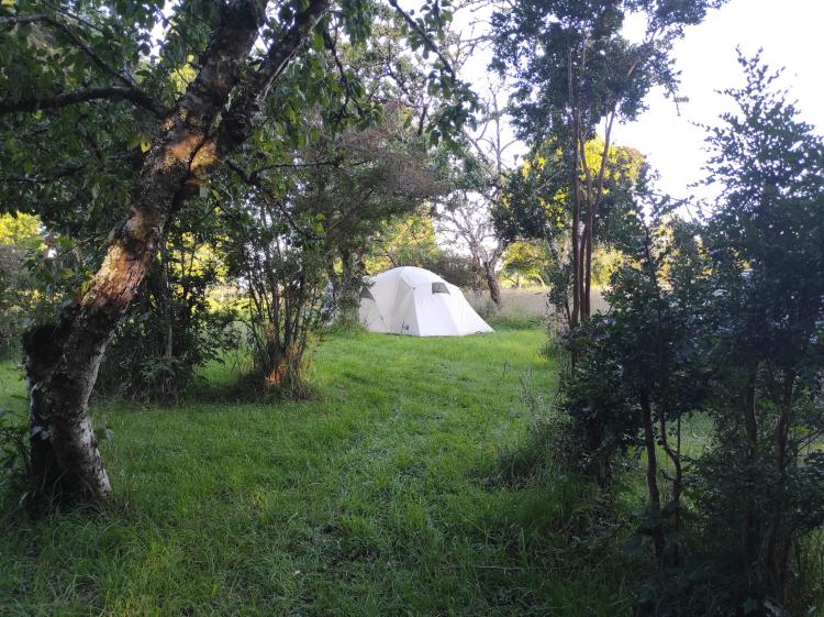 Fotografía 12 de Camping Viento Norte en Puerto Montt, Los Lagos