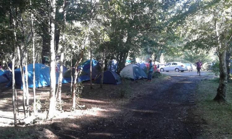 Fotografía 6 de Camping Ruca Pangui en Pucon, Araucania
