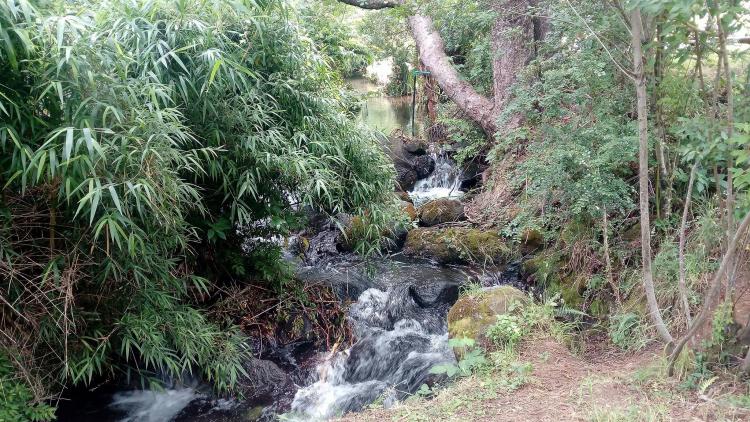 Fotografía 18 de Camping Ruca Pangui en Pucon, Araucania