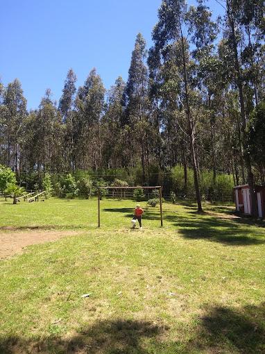 Fotografía 19 de Camping Don Alejandro en Tome, Bio Bio