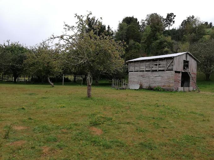 Fotografía 5 de Camping Y Refugio Fogón Llanquin en Quemchi, Los Lagos