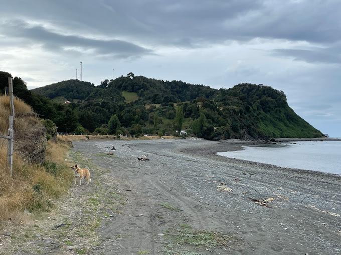 Fotografía 14 de Camping Y Refugio Fogón Llanquin en Quemchi, Los Lagos